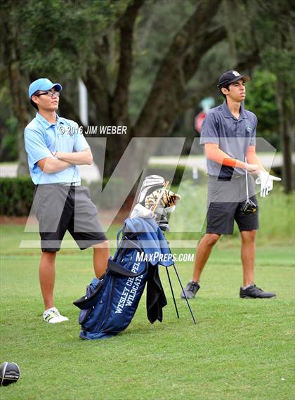 Thumbnail 1 in East Pasco County Match  photogallery.
