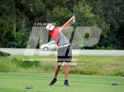 Thumbnail 1 in East Pasco County Match  photogallery.