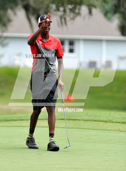 Thumbnail 2 in East Pasco County Match  photogallery.