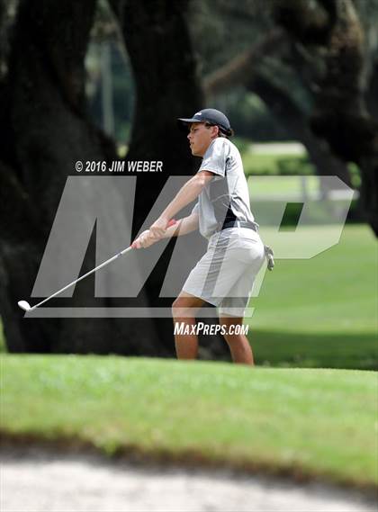 Thumbnail 1 in East Pasco County Match  photogallery.