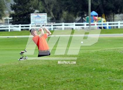 Thumbnail 2 in East Pasco County Match  photogallery.