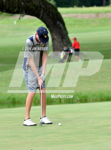 Thumbnail 3 in East Pasco County Match  photogallery.