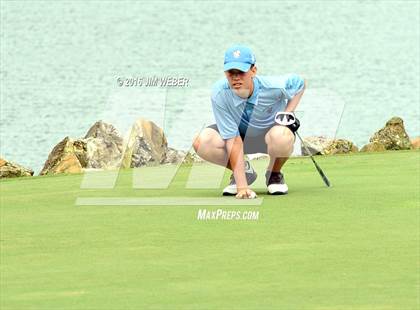Thumbnail 1 in East Pasco County Match  photogallery.