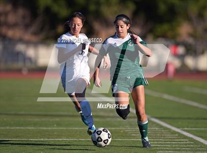 Thumbnail 2 in Carlmont vs Homestead photogallery.