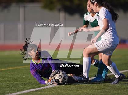 Thumbnail 1 in Carlmont vs Homestead photogallery.