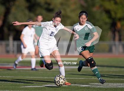 Thumbnail 1 in Carlmont vs Homestead photogallery.