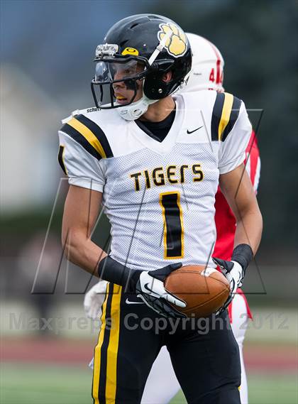 Thumbnail 3 in North Allegheny vs. Wilson (PIAA Class AAAA Semifinal) photogallery.