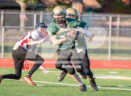 Thumbnail 3 in Shelton @ Timberline photogallery.