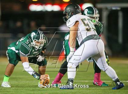 Thumbnail 2 in Paramus Catholic @ DePaul photogallery.
