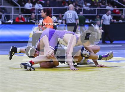 Thumbnail 1 in NYSPHSAA Quarterfinals photogallery.