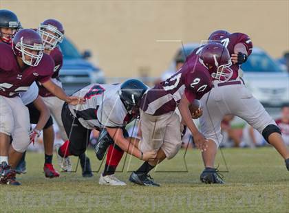 Thumbnail 1 in Marshall vs Stevens photogallery.