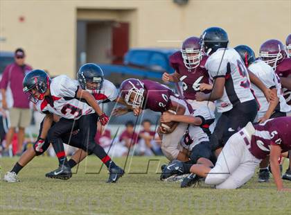 Thumbnail 3 in Marshall vs Stevens photogallery.