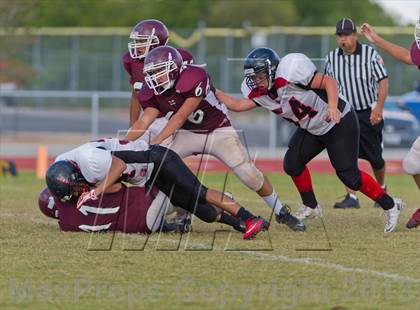 Thumbnail 2 in Marshall vs Stevens photogallery.