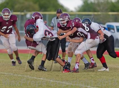 Thumbnail 3 in Marshall vs Stevens photogallery.