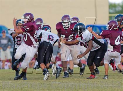 Thumbnail 3 in Marshall vs Stevens photogallery.