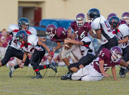 Thumbnail 2 in Marshall vs Stevens photogallery.