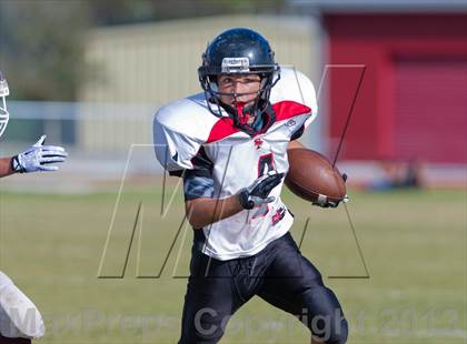 Thumbnail 3 in Marshall vs Stevens photogallery.