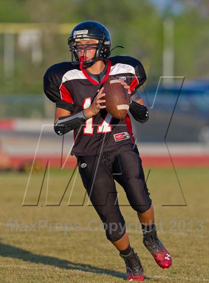 Thumbnail 2 in Marshall vs Stevens photogallery.