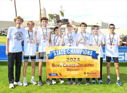 Thumbnail 2 in AIA D-I Boys State Championship (Awards) photogallery.