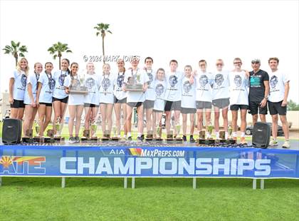 Thumbnail 3 in AIA D-I Boys State Championship (Awards) photogallery.