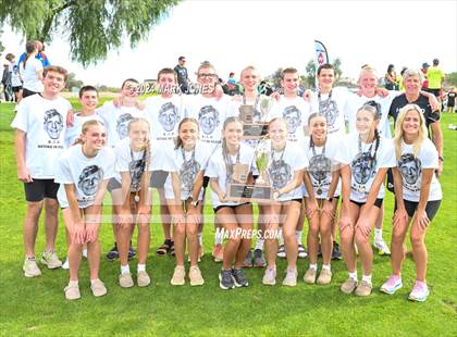 Thumbnail 3 in AIA D-I Boys State Championship (Awards) photogallery.