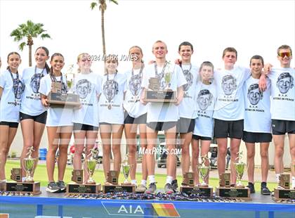 Thumbnail 3 in AIA D-I Boys State Championship (Awards) photogallery.