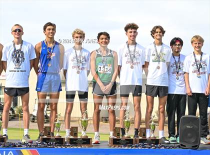 Thumbnail 3 in AIA D-I Boys State Championship (Awards) photogallery.