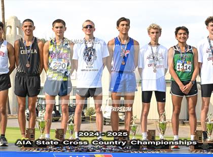 Thumbnail 3 in AIA D-I Boys State Championship (Awards) photogallery.