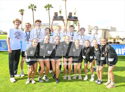 Thumbnail 3 in AIA D-I Boys State Championship (Awards) photogallery.