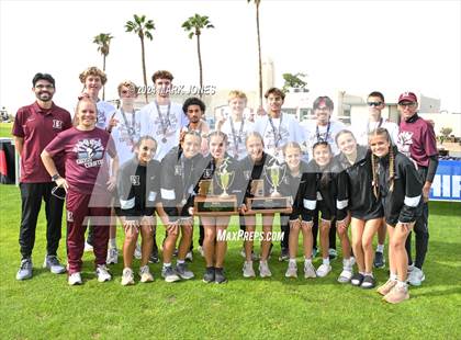 Thumbnail 1 in AIA D-I Boys State Championship (Awards) photogallery.