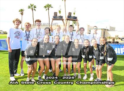 Thumbnail 1 in AIA D-I Boys State Championship (Awards) photogallery.