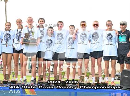 Thumbnail 2 in AIA D-I Boys State Championship (Awards) photogallery.