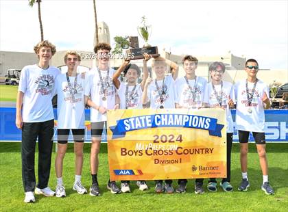 Thumbnail 3 in AIA D-I Boys State Championship (Awards) photogallery.