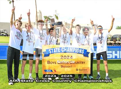 Thumbnail 2 in AIA D-I Boys State Championship (Awards) photogallery.