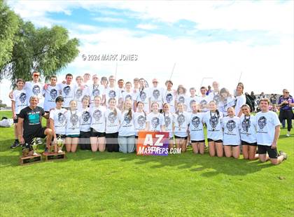 Thumbnail 2 in AIA D-I Boys State Championship (Awards) photogallery.