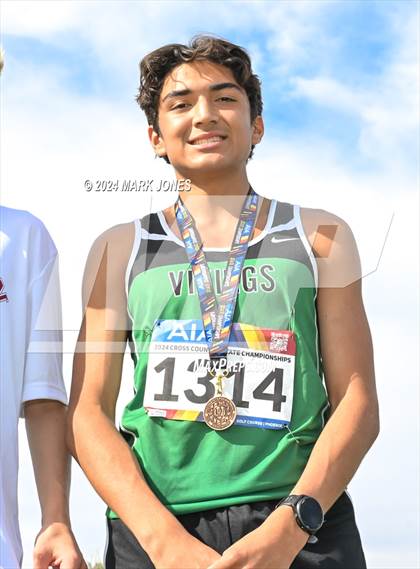 Thumbnail 2 in AIA D-I Boys State Championship (Awards) photogallery.