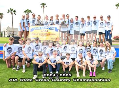 Thumbnail 3 in AIA D-I Boys State Championship (Awards) photogallery.