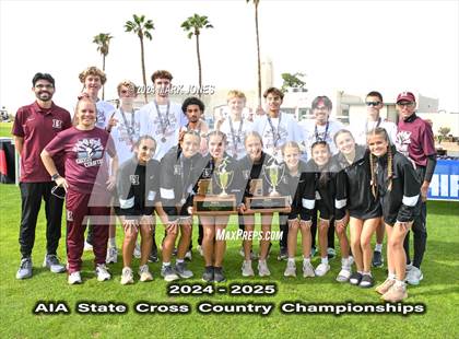Thumbnail 2 in AIA D-I Boys State Championship (Awards) photogallery.