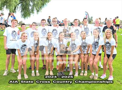 Thumbnail 2 in AIA D-I Boys State Championship (Awards) photogallery.
