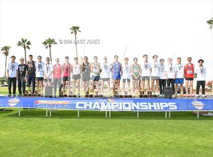 Thumbnail 2 in AIA D-I Boys State Championship (Awards) photogallery.