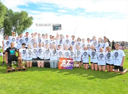 Thumbnail 1 in AIA D-I Boys State Championship (Awards) photogallery.