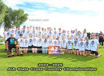 Thumbnail 3 in AIA D-I Boys State Championship (Awards) photogallery.