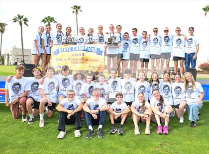 Thumbnail 2 in AIA D-I Boys State Championship (Awards) photogallery.