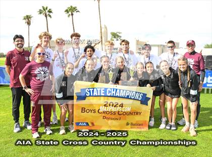 Thumbnail 3 in AIA D-I Boys State Championship (Awards) photogallery.