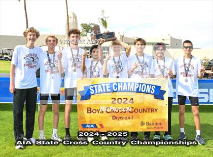 Thumbnail 3 in AIA D-I Boys State Championship (Awards) photogallery.