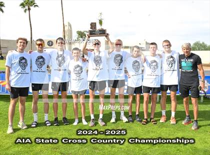 Thumbnail 2 in AIA D-I Boys State Championship (Awards) photogallery.