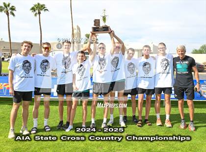 Thumbnail 3 in AIA D-I Boys State Championship (Awards) photogallery.