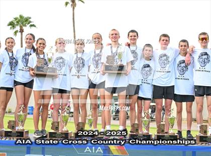 Thumbnail 1 in AIA D-I Boys State Championship (Awards) photogallery.