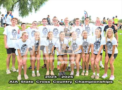 Thumbnail 1 in AIA D-I Boys State Championship (Awards) photogallery.