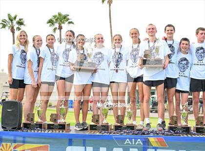 Thumbnail 2 in AIA D-I Boys State Championship (Awards) photogallery.